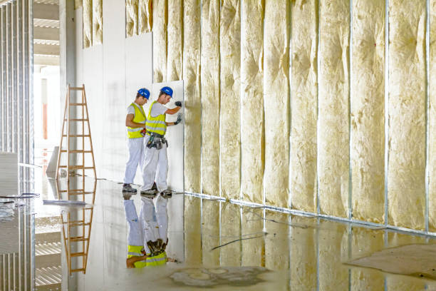 Best Residential Insulation in Alliae, NC